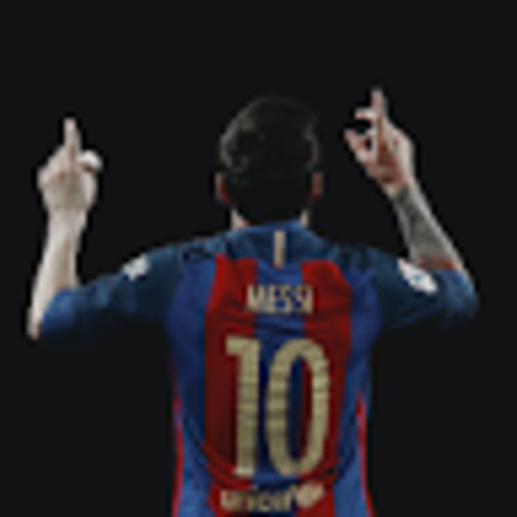 Meet your Posher, Sofia - Picture 1 of 1